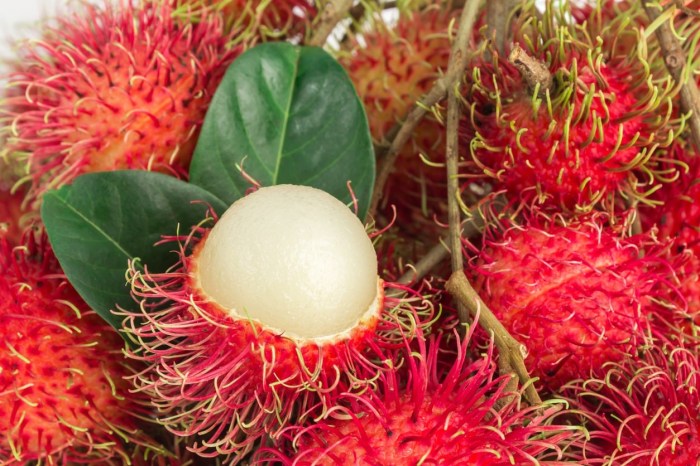 Apa Manfaat Buah Rambutan Bagi Kesehatan