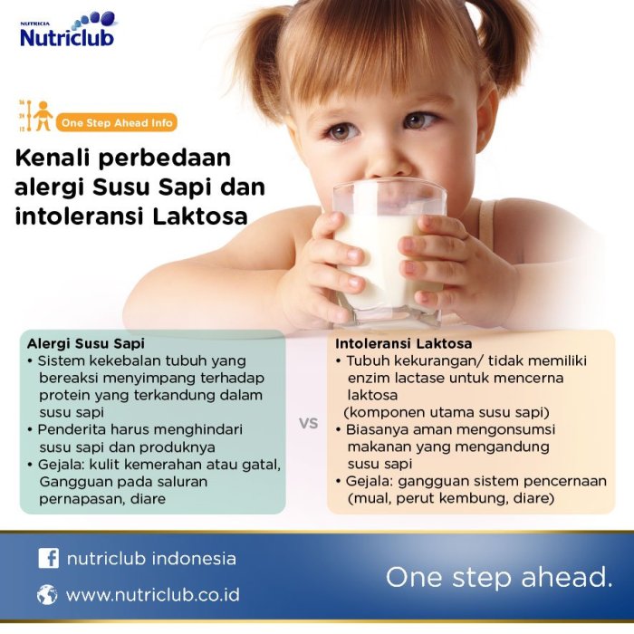 Anak alergi susu sapi