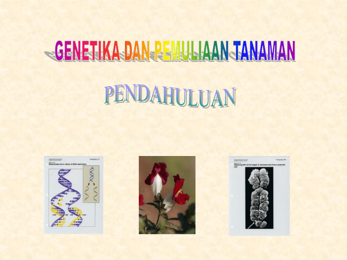 Genetika dalam peran pendahuluan definisi