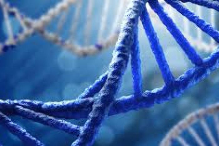 Peran Genetika dalam Personalisasi Obat