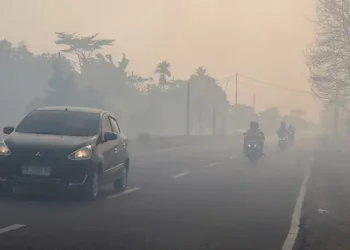 Ibu Hamil Terpapar Asap Karhutla Harus Waspadai Tanda-Tanda Bahaya Berikut