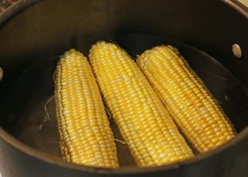Diet Sehat Tidak Hanya Makanan Rebus, Simak Penjelasannya