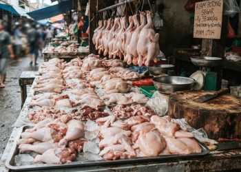 Tanda Ayam Mentah Tidak Layak Dikonsumsi yang Perlu Dikenali dan Tampilan Segar yang Menipu